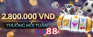 xo88